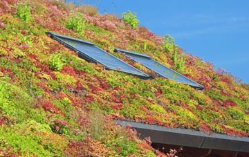 Wallasey living roof systems